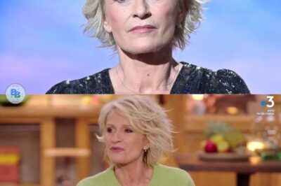 Sophie Davant dévoile une information personnelle qu’elle avait gardée secrète