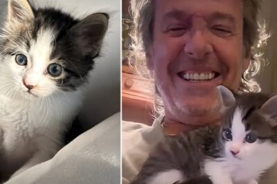 « Ziggy m’a appris à vivre autrement » : l’incroyable déclaration de Jean-Luc Reichmann sur son chat adoré, devenu un pilier silencieux dans les moments difficiles. Cliquez sur le lien pour en savoir plus.