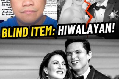 Wakas Na Ba Ng Isang Fairy Tale? Ang Katotohanan sa Likod ng Ugong ng Hiwalayang Carmina Villarroel at Zoren Legaspi bb