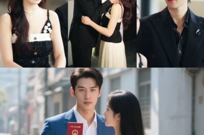 Mula sa Anino Patungong Ningning: Ang Kahanga-hangang Pagbangon ni Elizabeth Morgan Laban sa Mapang-aping Asawa at ang Paghahanap ng Tunay na Pag-ibig bb