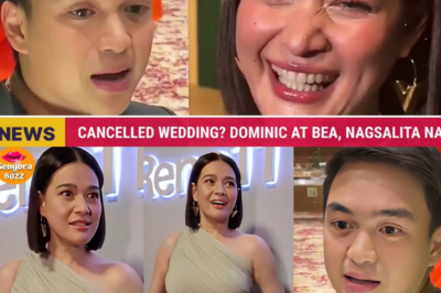 HIWALAYAN? Mga Obserbasyon ng Netizens at “Wala Pang Plano” ni Bea Alonzo, Nag-iwan ng Malaking Katanungan sa Kinabukasan ng ‘BeaDom’ Wedding