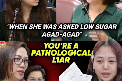 Kailanman Hindi Tumugma: Mula P181K na Kapital, Isang ‘Pathological Liar’ sa POGO Hub na Nagkakahalaga ng Bilyon-Bilyon