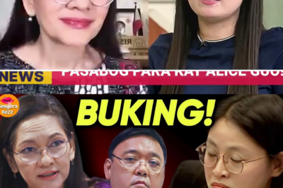 Mula Bamban Hanggang Porac: Ang Nakakagimbal na Network ng POGO, Pekeng Pagkamamamayan, at ang mga Matataas na Opisyal na Sangkot sa Pagkubli ng mga Pugante