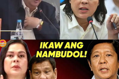 BAHO SA DEPED: Dating Opisyal, Diretsahang Inakusahan ni Pimentel ng 18% Komisyon; P150-M Confidential Funds, Binusisi Dahil sa Misteryosong Cash Advance!