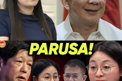 IMPYERNO NG POGO: SINUSUBOK ANG PILIPINAS! SENADO, NANGANGAMBA SA PAG-ABOT SA ANTAS NG NATIONAL SECURITY THREAT DAHIL SA KRIMEN, PEKENG ID, AT HACKER
