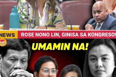 SINUNGALING NA MENSAHE AT MULTIPLE PASSPORT: ANG KULAY-DRUGA NA LIHIM NI ROSE NONO LIN NA BUMULAGA SA KONGRESO