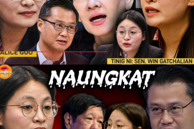 Ang Maitim na Sikreto ni Mayor Alice Guo: Paano Naisahan ng Pekeng Pilipino ang Sistema ng Bansa, Mula sa SIRV Hanggang sa POGO Syndicate