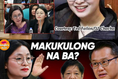 ANG NAKAGULAT NA KOMONTRA: SI MAYOR ALICE GUO, LUMABAN SA PAGSUSPINDE AT IDINEPENSA ANG KANYANG PAGKATAO AT KAYAMANAN SA GITNA NG POGO SCANDAL