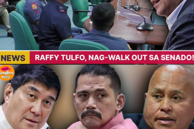 SUMABOG SA GALIT! SENADOR RAFFY TULFO, NAG-WALK OUT MATAPOS IHAYAG ANG KASINUNGALINGAN AT KADUWAGAN NG MGA PULIS SA GITNA NG PANG-AABUSO SA MAHIHIRAP