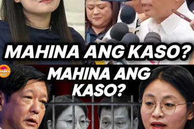 MULA ‘QUEEN’ HANGGANG ‘PIECE OF THE PUZZLE’: ANG NAKARARIMARIM NA KATOTOHANAN SA KASO NI ALICE GUO, ANG NAGTATAGONG PUGAD SA FONTANA, AT ANG MGA ‘PERSONS OF INTEREST’ NA DATIHANG KABINET OFFICIAL