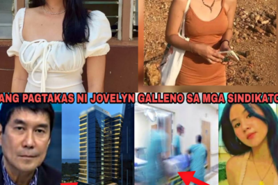 ANG PAGHAHANAP SA HUSTISYA: Sa Likod ng Viral na Balita ng Diumano’y “Pagtakas at Pagkakita” ni Jovelyn Galleno, Narito ang Matinding Katotohanan na Gumulantang sa Buong Palawan at Bansa