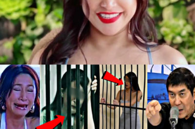 Pagsasamantala sa Popularidad: Rufa Mae Quinto, Nadamay sa P1-B Investment Scam; Boy Abunda, Nagbabala sa Buong Industriyang Pelikula